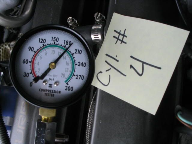 p173833_4.jpg