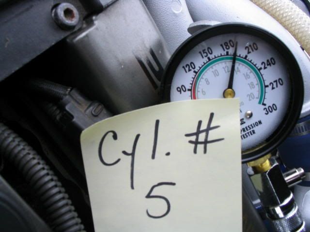 p173833_5.jpg