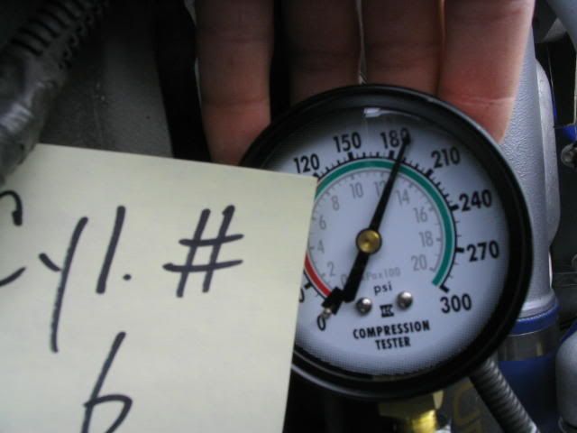 p173833_6.jpg