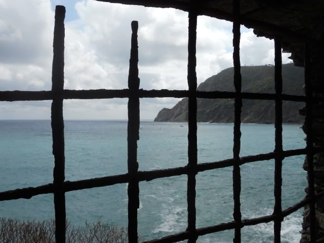 p1746091_5.jpg