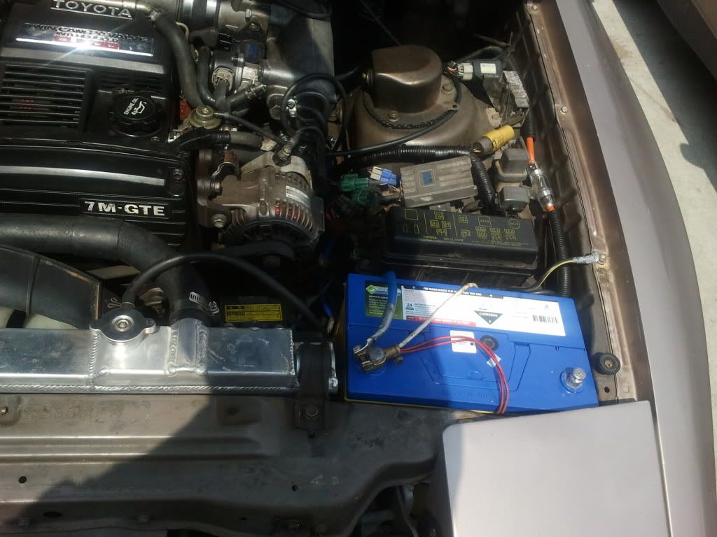 p1781140_1.jpg