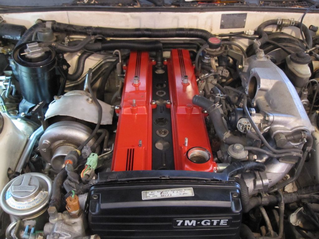 p1787750_2.jpg