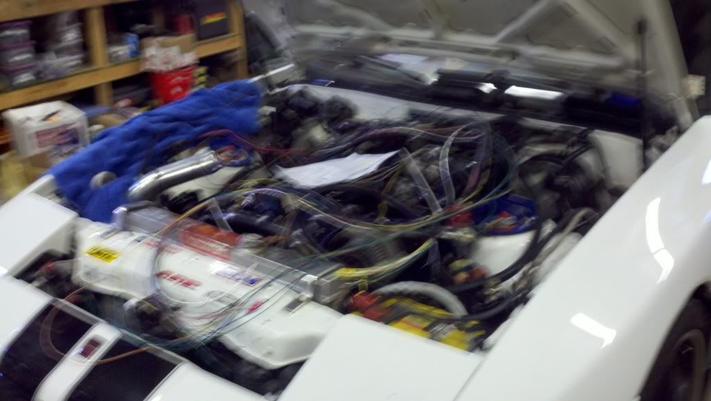 p1789288_2.jpg