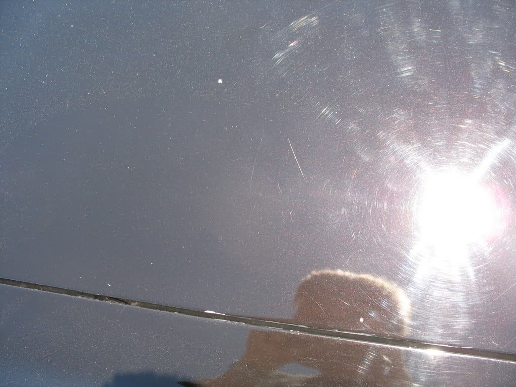 p1812333_3.jpg