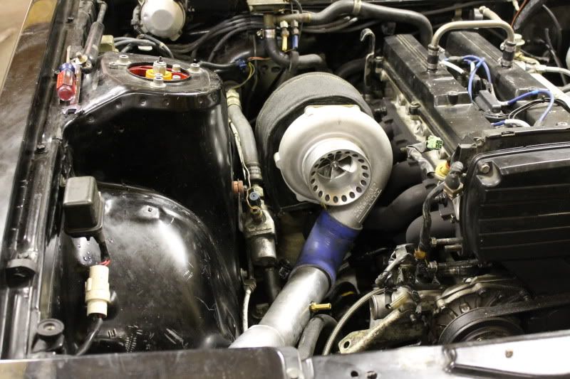 p1819306_34.jpg
