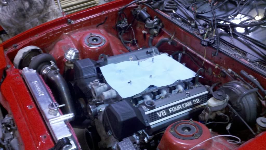 p1819533_11.jpg