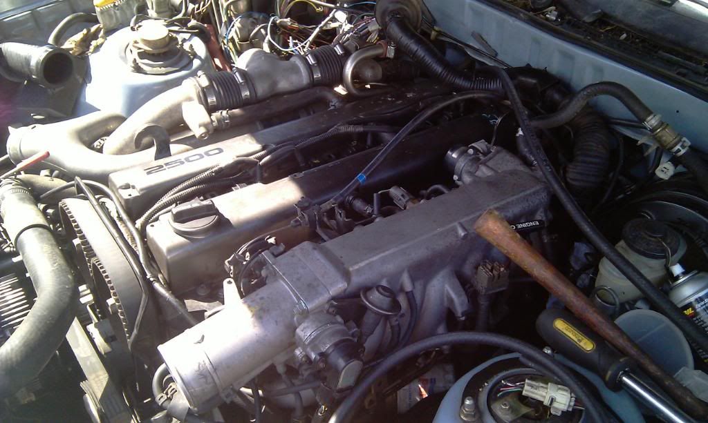 p1820279_5.jpg