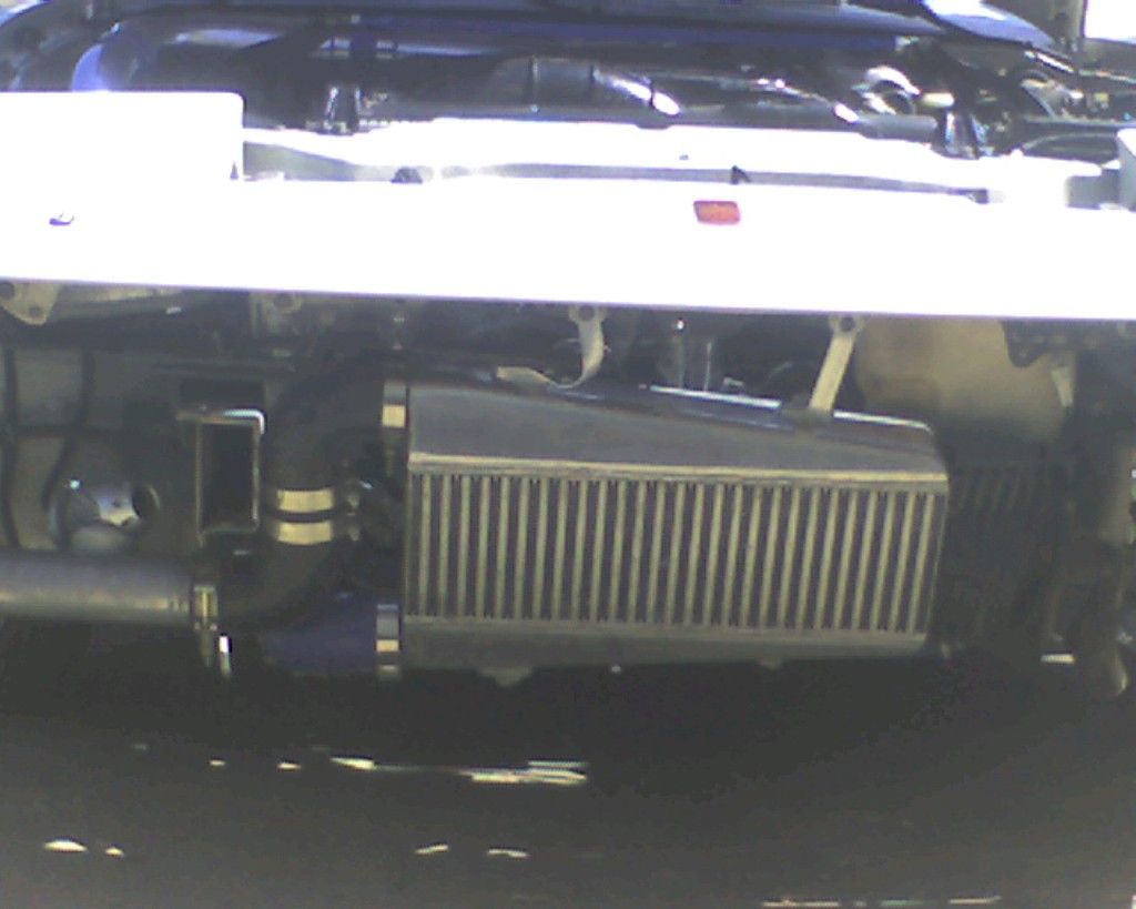 p1823737_3.jpg