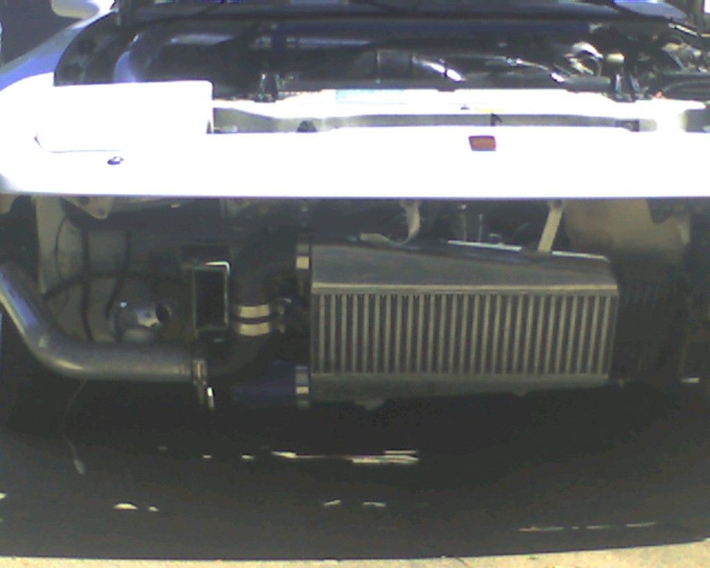 p1823737_4.jpg