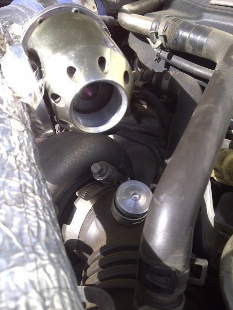 p1824010_2.jpg