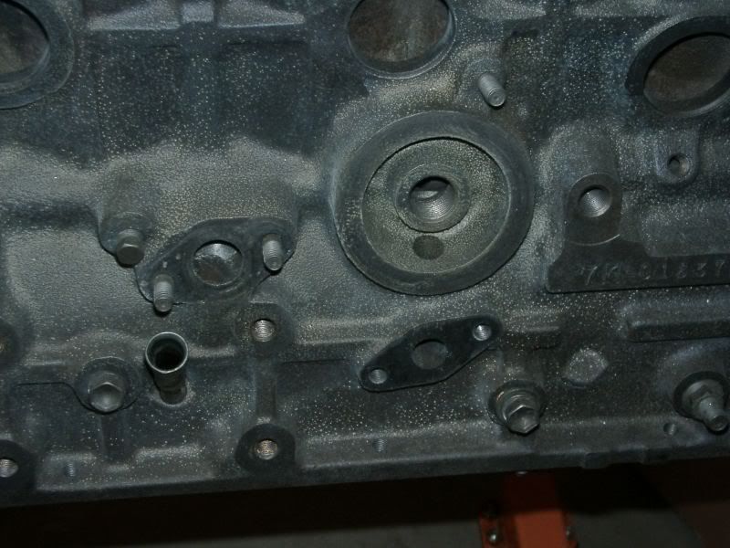 p1834073_1.jpg
