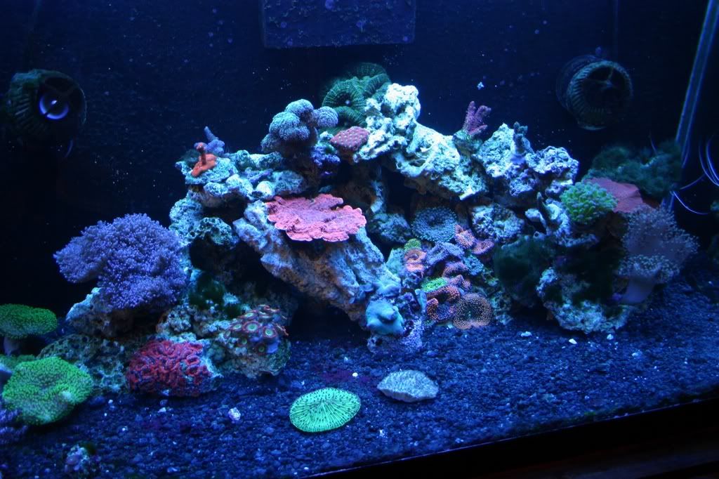 p1844842_2.jpg