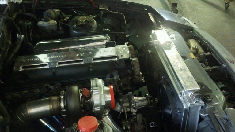 p1851622_5.jpg