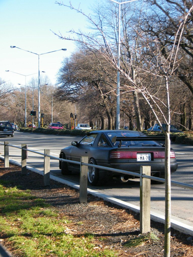 p1855309_3.jpg