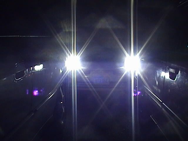 p185566_1.jpg