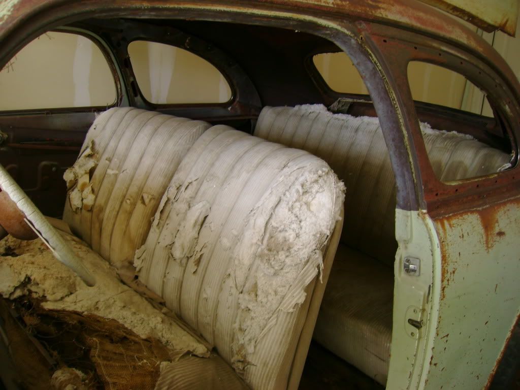 p1880750_7.jpg