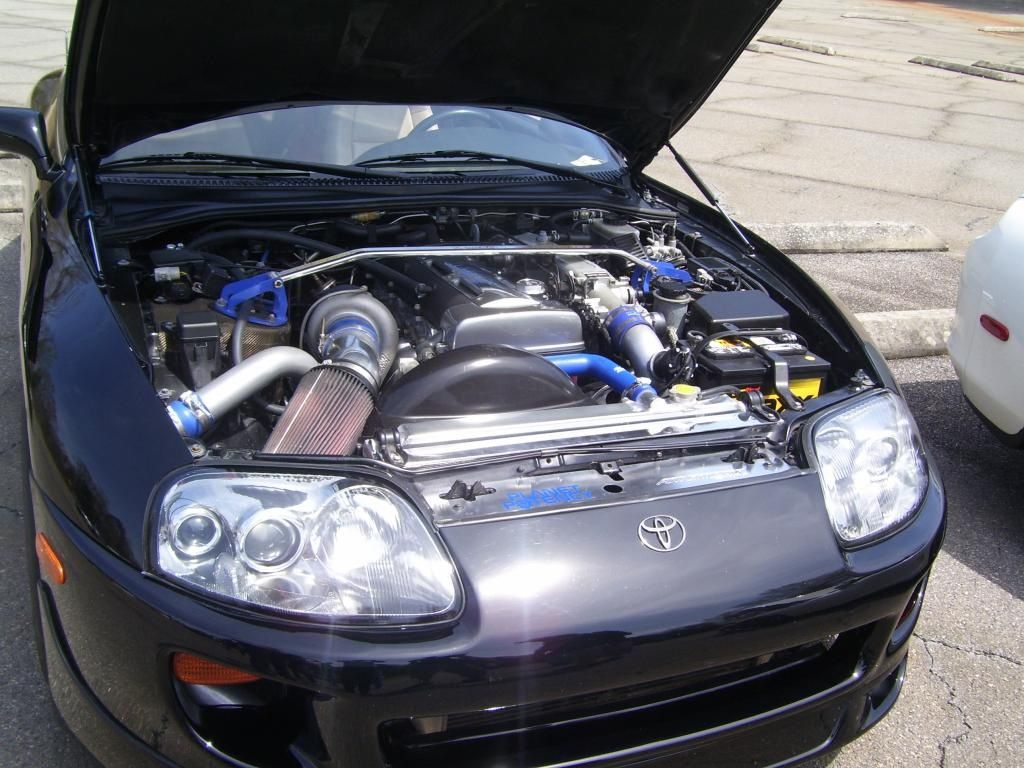 p1929956_4.jpg