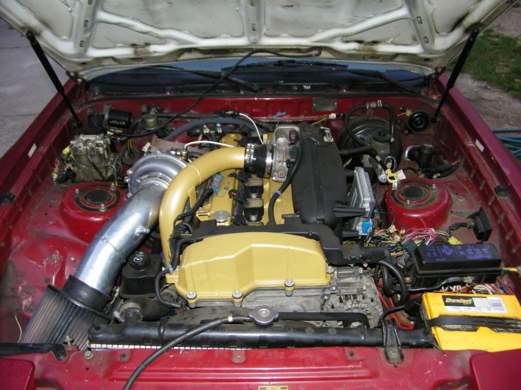 p1937501_2.jpg
