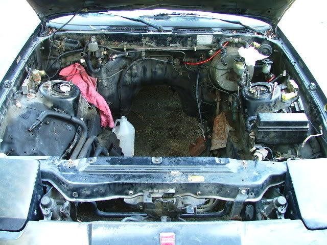 p200687_1.jpg
