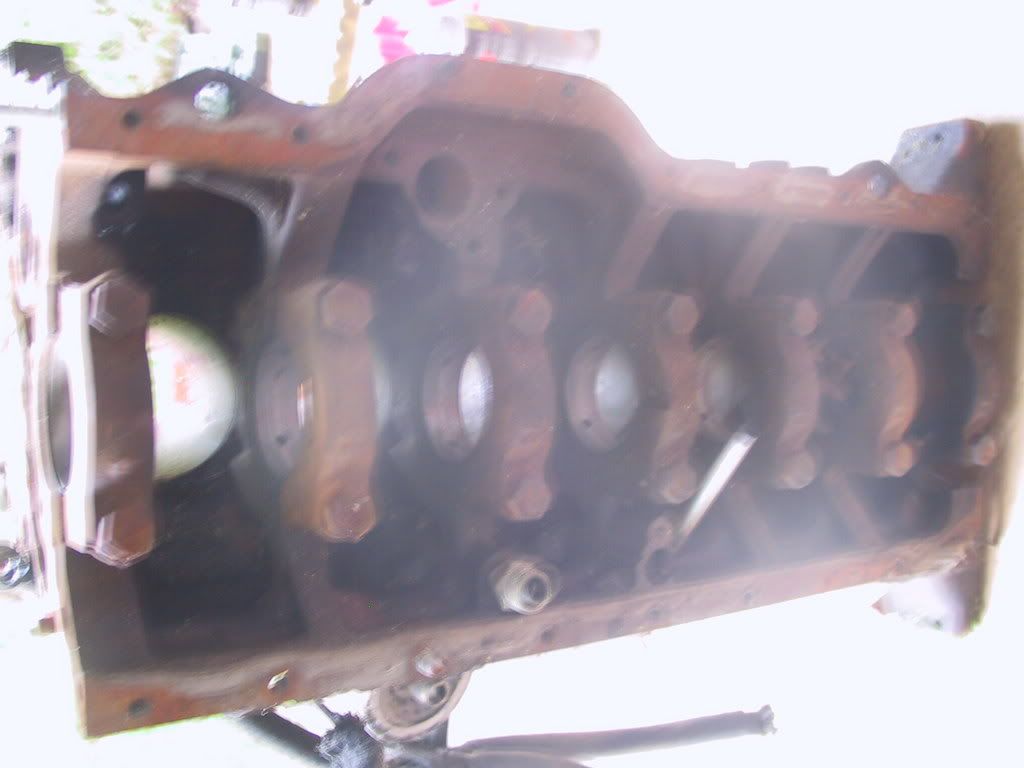 p21392_1.jpg