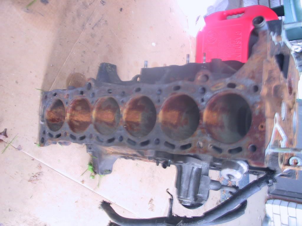p21392_3.jpg
