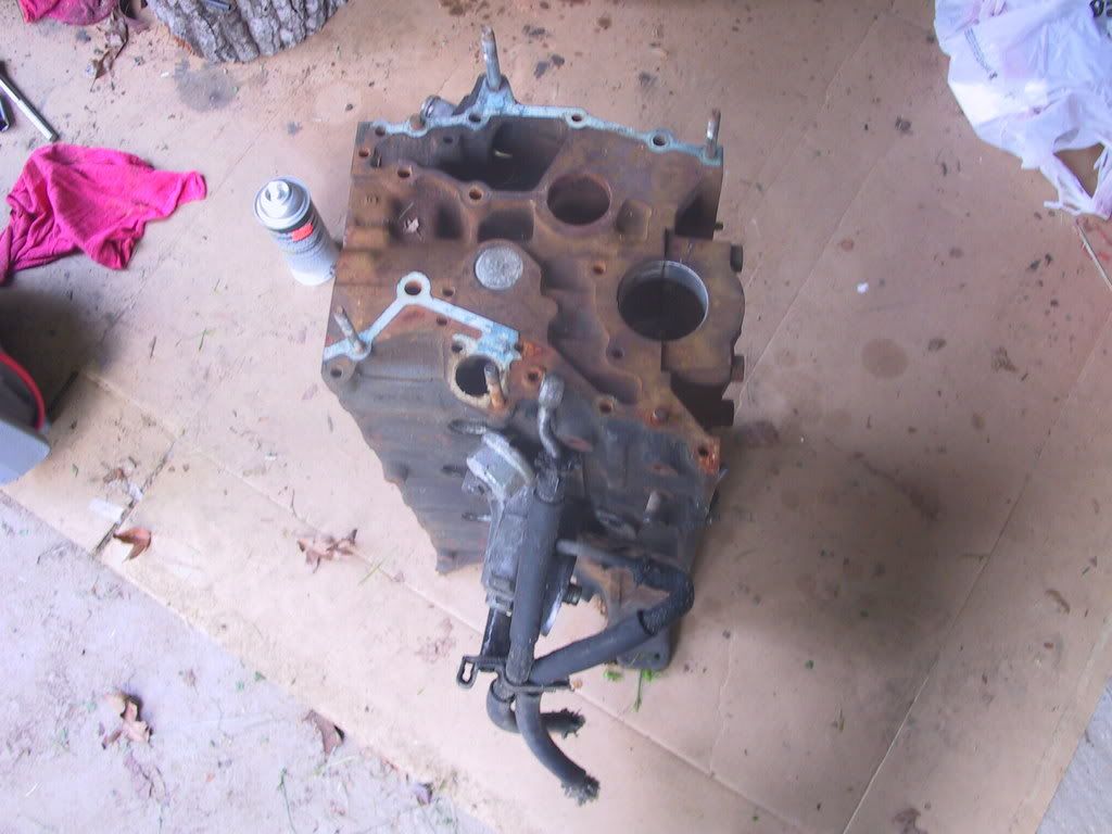p21392_4.jpg