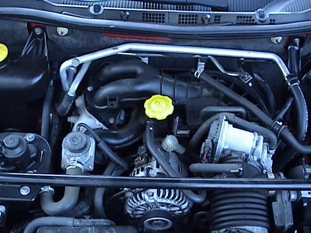 p222330_1.jpg