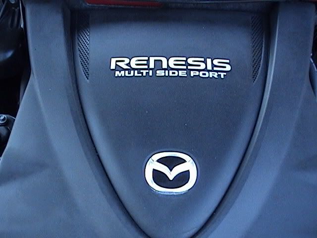 p222336_1.jpg