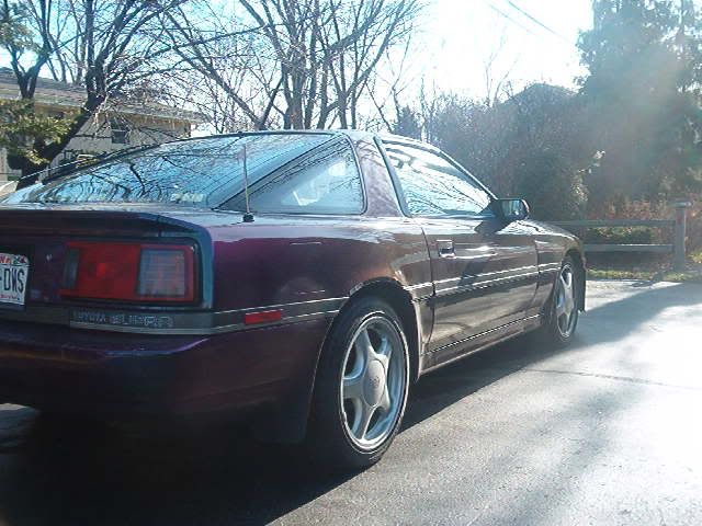 p251599_1.jpg