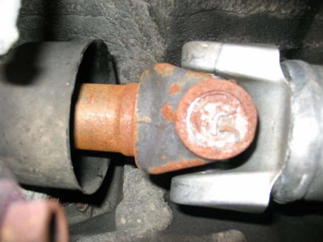 p262031_1.jpg