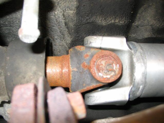 p262031_2.jpg