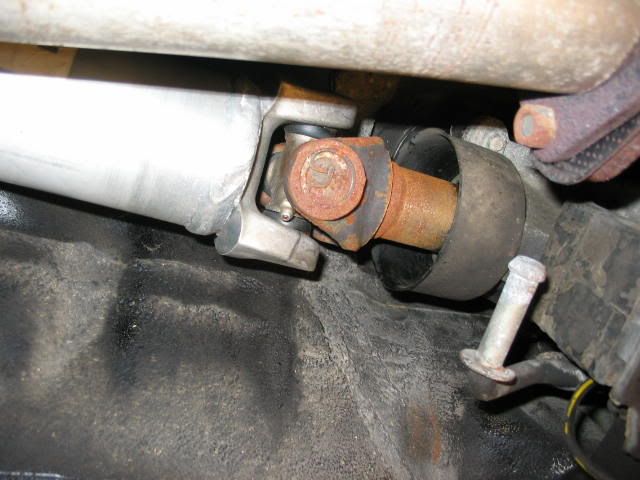 p262031_3.jpg