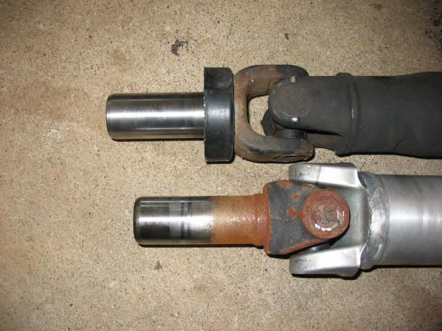 p264042_2.jpg