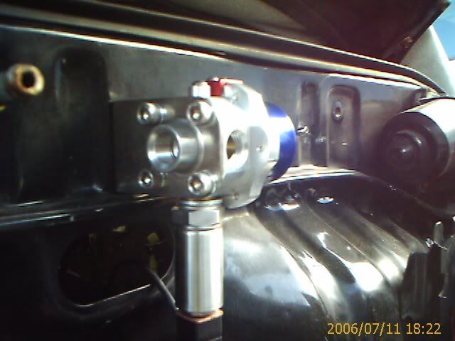 p265341_3.jpg