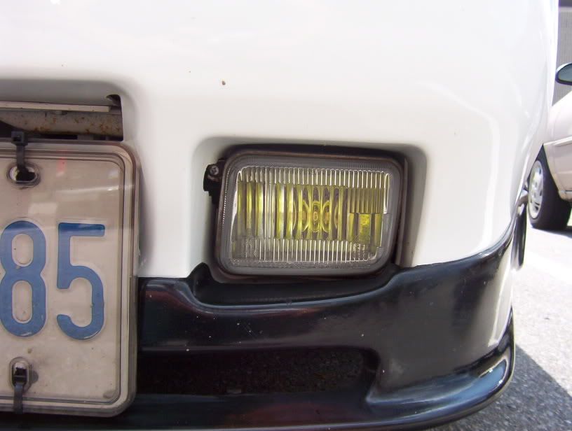 p267448_1.jpg