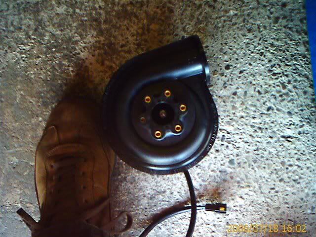 p274099_1.jpg