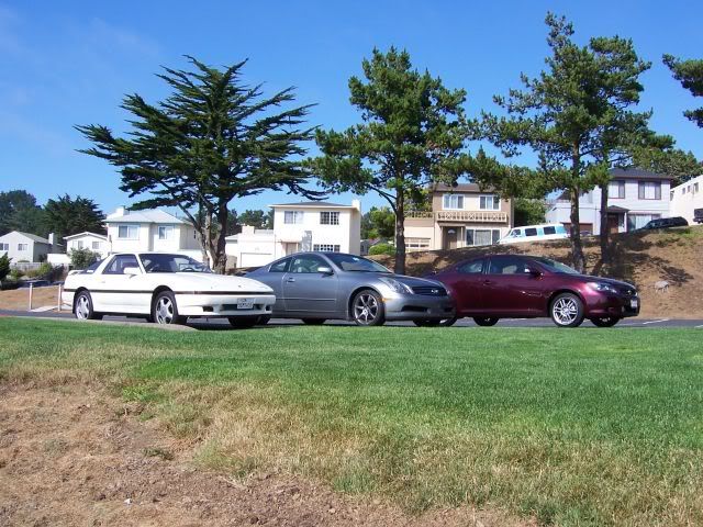 p275983_1.jpg