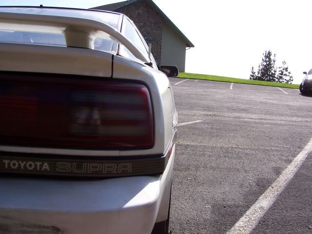 p275983_10.jpg