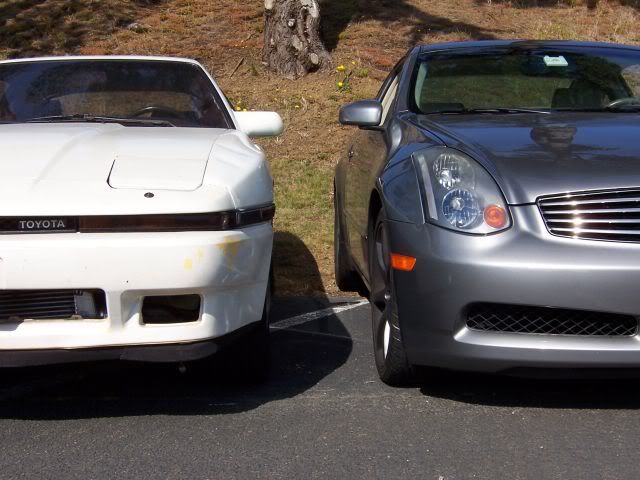 p275983_6.jpg
