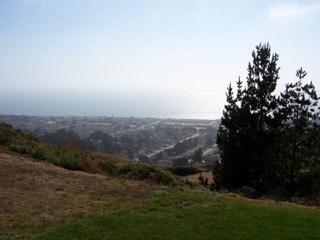 p275984_1.jpg