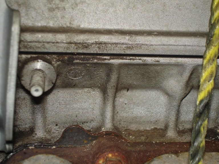 p306222_2.jpg
