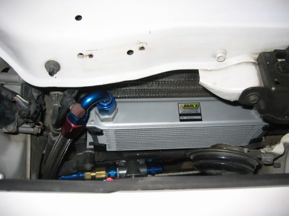 p309074_6.jpg