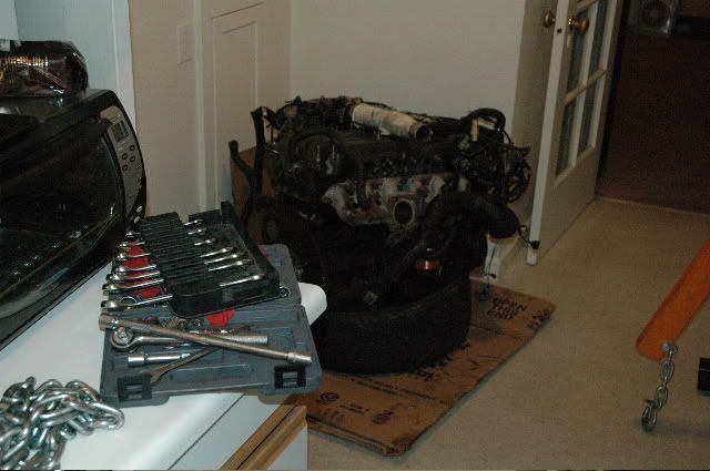 p329412_2.jpg