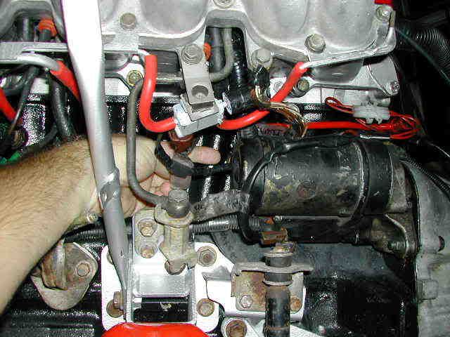 p335096_1.jpg