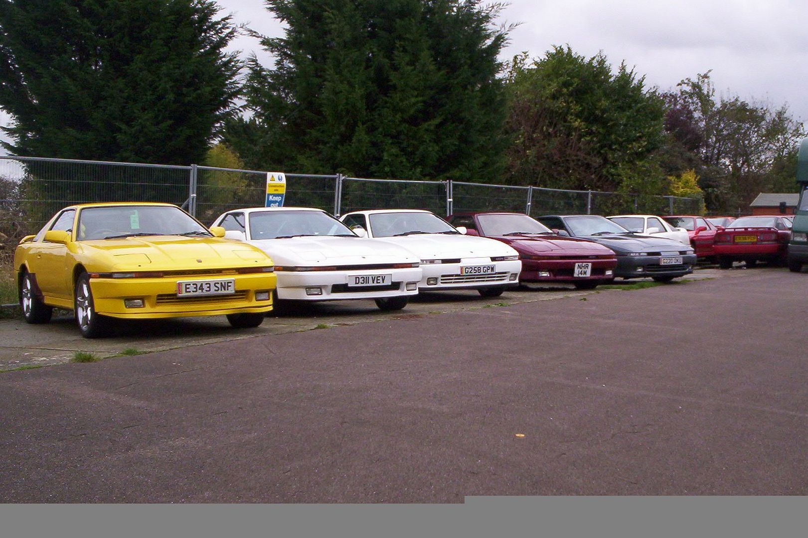 p358969_1.jpg