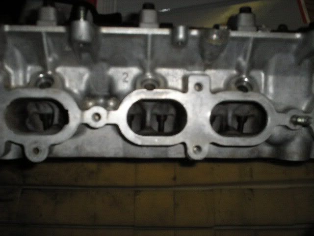 p404956_3.jpg