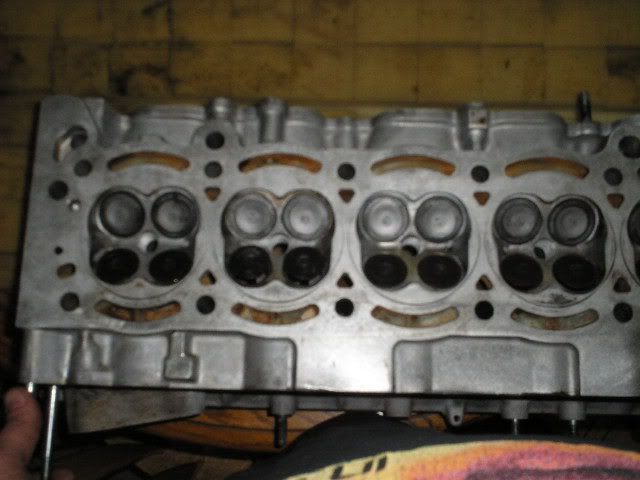 p404956_4.jpg