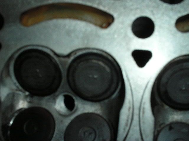 p404956_5.jpg