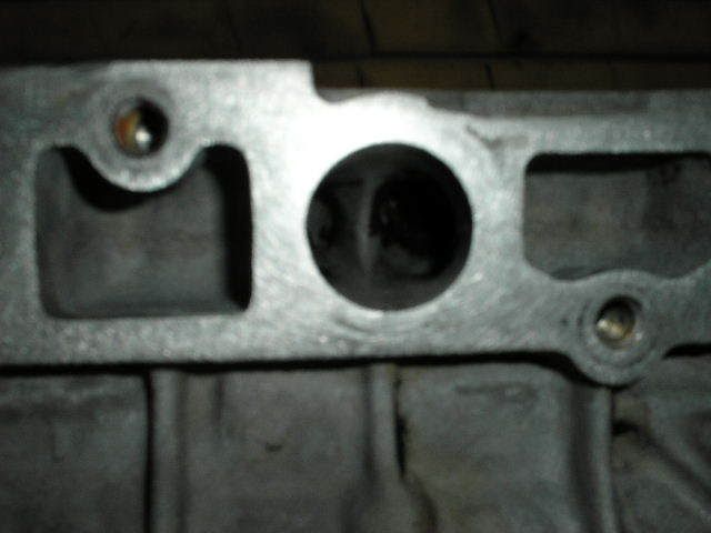 p404956_6.jpg