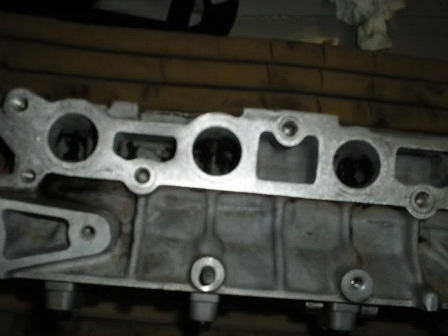 p404956_7.jpg